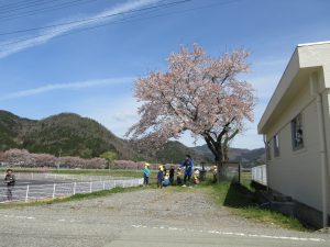 桜の木の下で