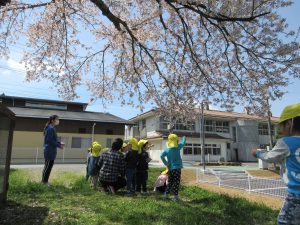 桜の木の下