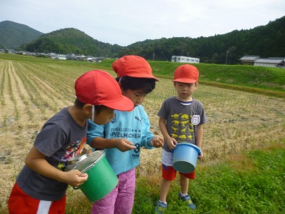 つかまえた虫を友達と一緒に見る園児