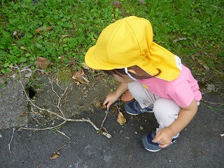 ドングリを見つけた園児