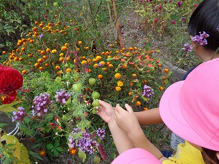 お花を見る園児