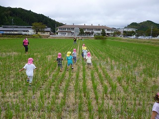 田んぼの中を走る園児