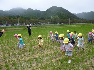 田んぼの中を走る園児