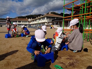 花の苗を植える園児