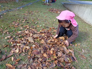 葉っぱを集める園児