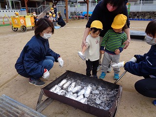 芋を火の中に入れる園児