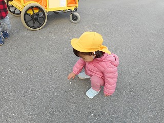 道路にある何かを見つめる園児