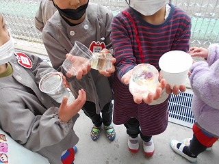 氷を手に持つ園児