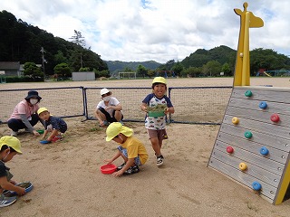 草引きをする園児