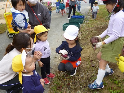 掘った芋を小さい園児に見せる園児