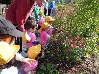 遠足に行く園児