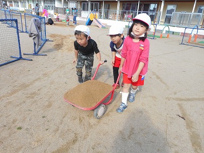 真砂土を園庭に広げる園児