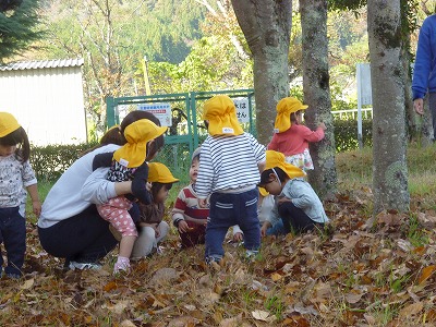 葉っぱを拾う園児