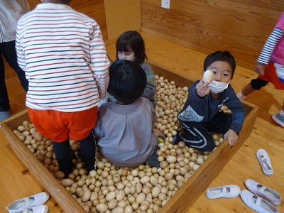 木玉のプールで遊ぶ園児