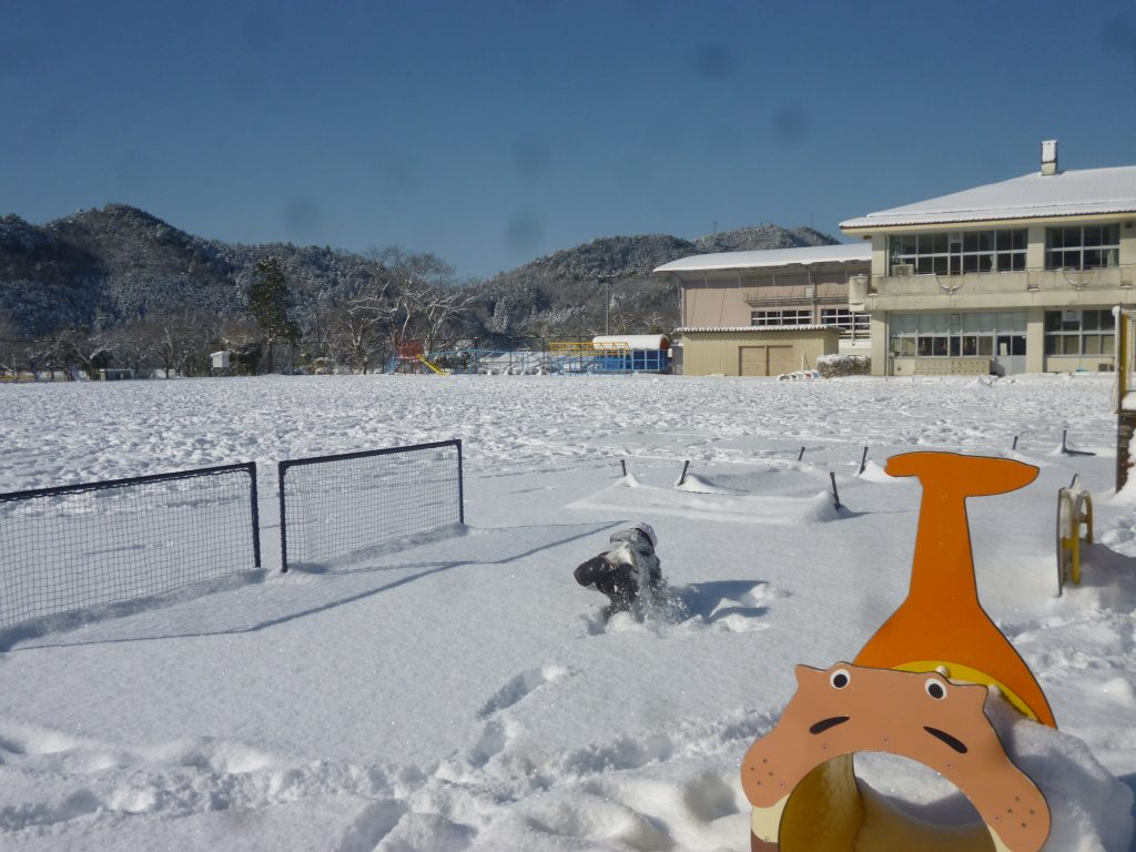 雪遊びをする園児